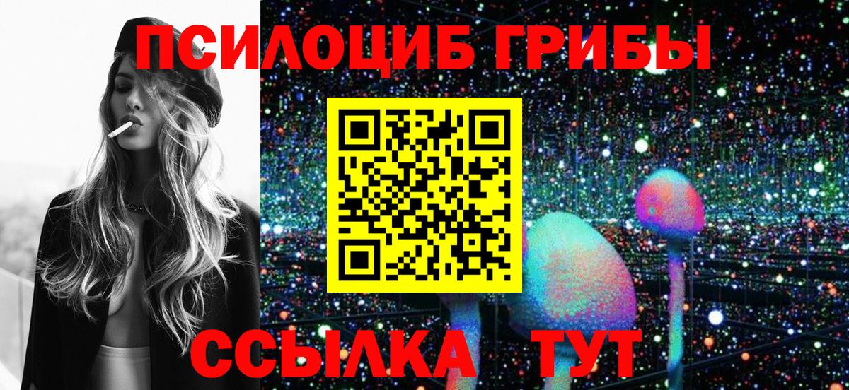 Галлюциногенные грибы Cubensis Ступино