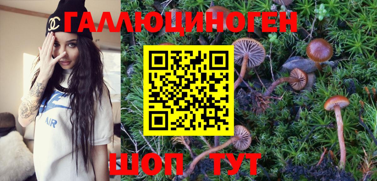 Ступино  Псилоцибиновые грибы Psilocybine cubensis  Вход с VPN 